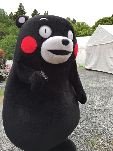 亀岡光秀まつり・かめまるフェスタ 038.JPG